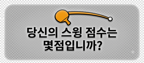 당신의 스윙 점수는 몇점입니까? 바로가기